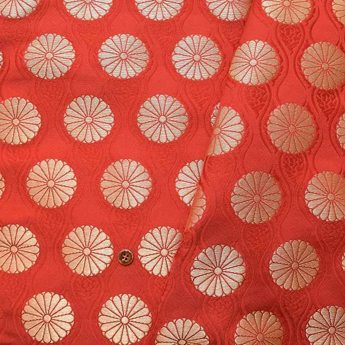 金襴 菊