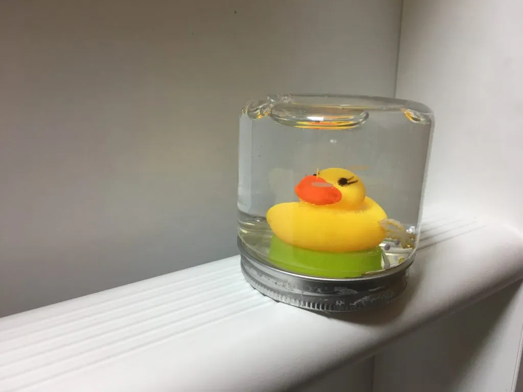 ぽんぽん