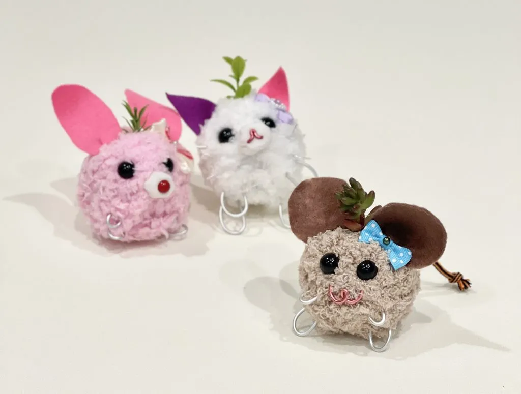 オリジナルのペットを作り頭の上で多肉植物を育てよう（高学年用）